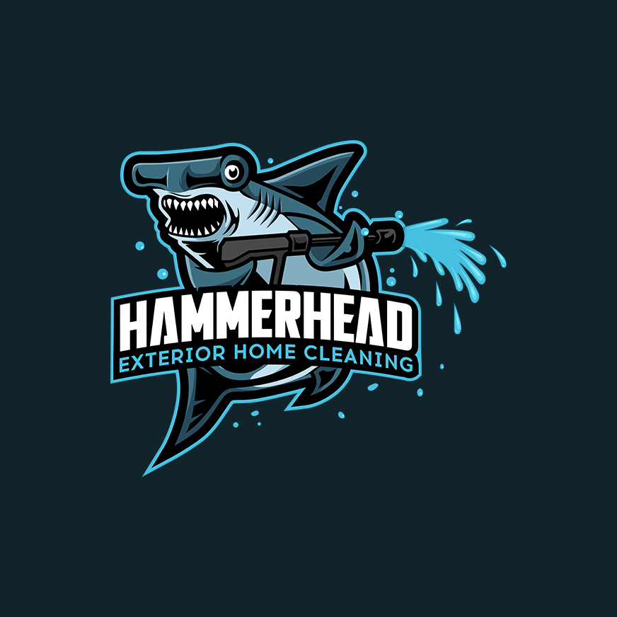 Custom Mascot Logo Design Services | Xeryze